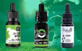 The Best CBD Oil for Dogs