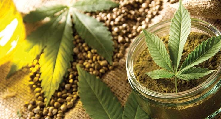 CBD Craze In Food Industry: What You Need To Know